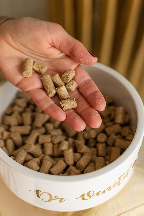 Hand holding pieces of Dr Veneta freeze-dried dog food above a feeding bowl