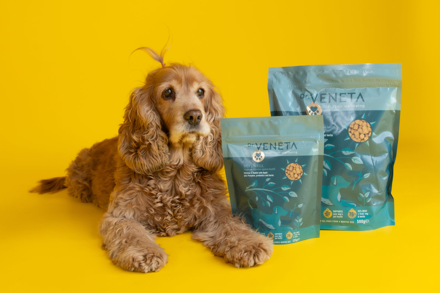 Dog sitting next to Dr. Veneta's pet food packages on a yellow background