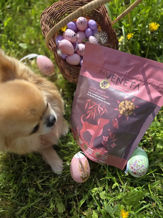 Dog beside a Dr. Veneta Stay Shine dog food bag and Easter eggs outdoors