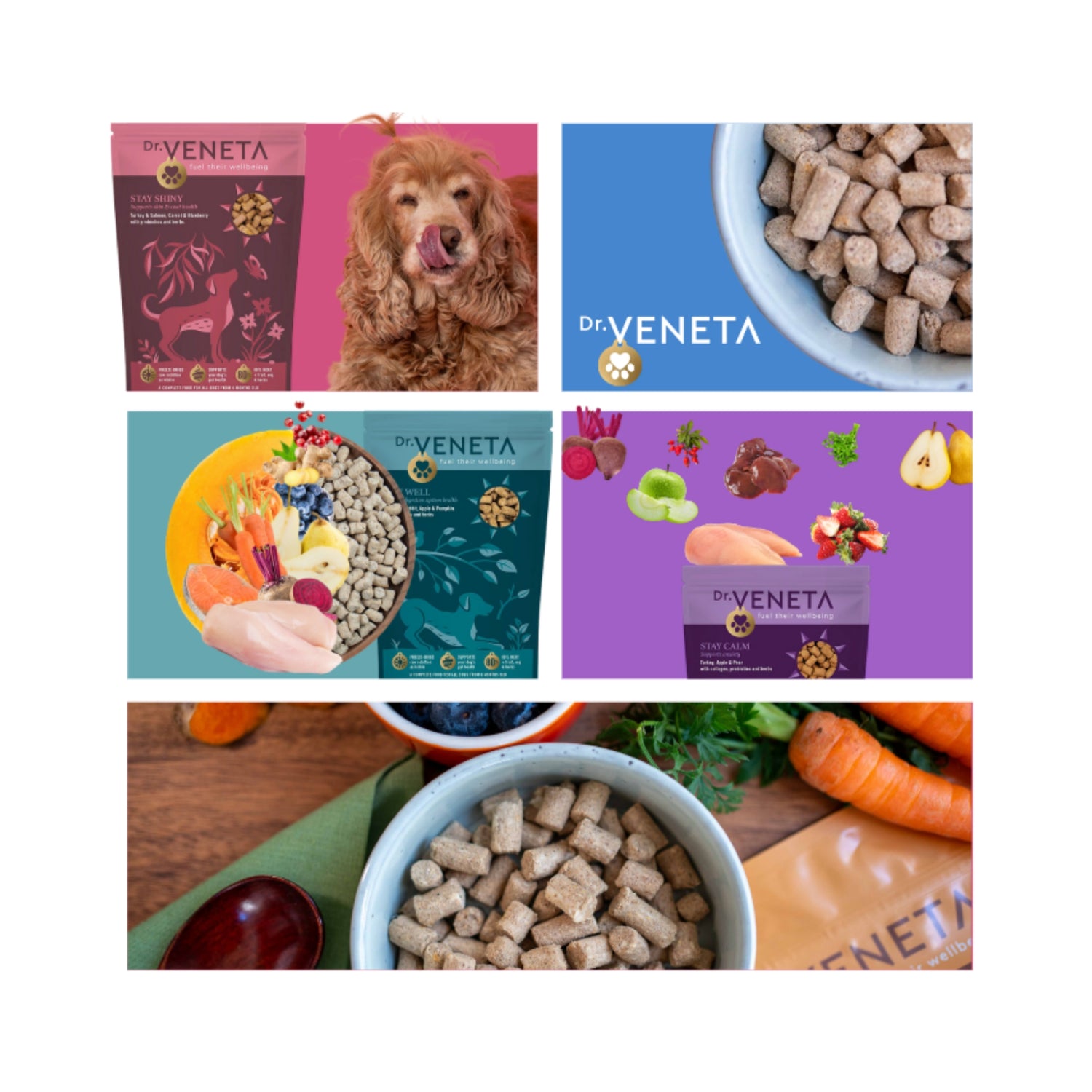 Wellness & Discovery Nutrition Sets
