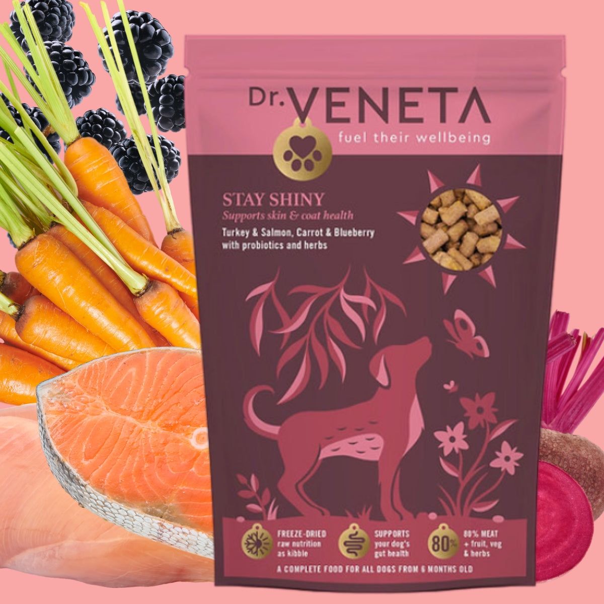 Dr. Veneta Stay Shiny dog food package with fresh vegetables and salmon on a pink background