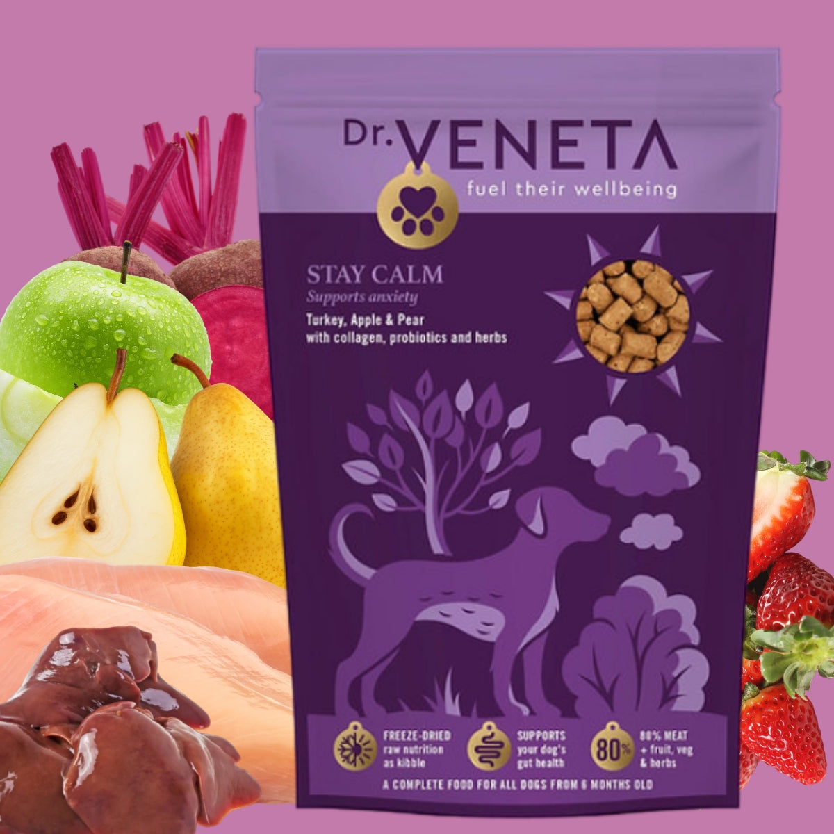 Dr. Veneta Stay Calm pet food package with colorful ingredients on a pink background