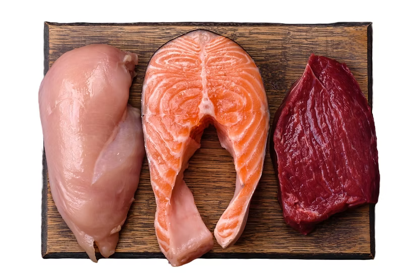 Fresh chicken, salmon and meat ingredients for pet nutrition