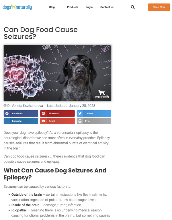 Can Dog Food Cause Seizures?