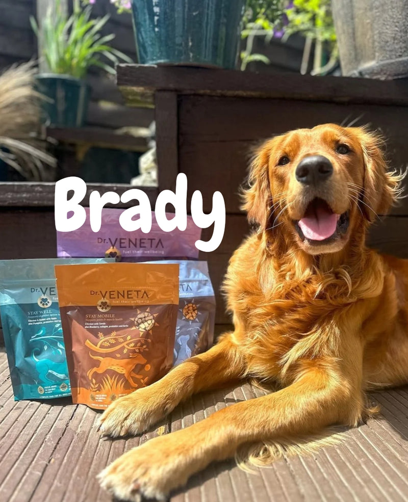 Brady the dog lying on a wooden deck with Dr Veneta dog food products beside him