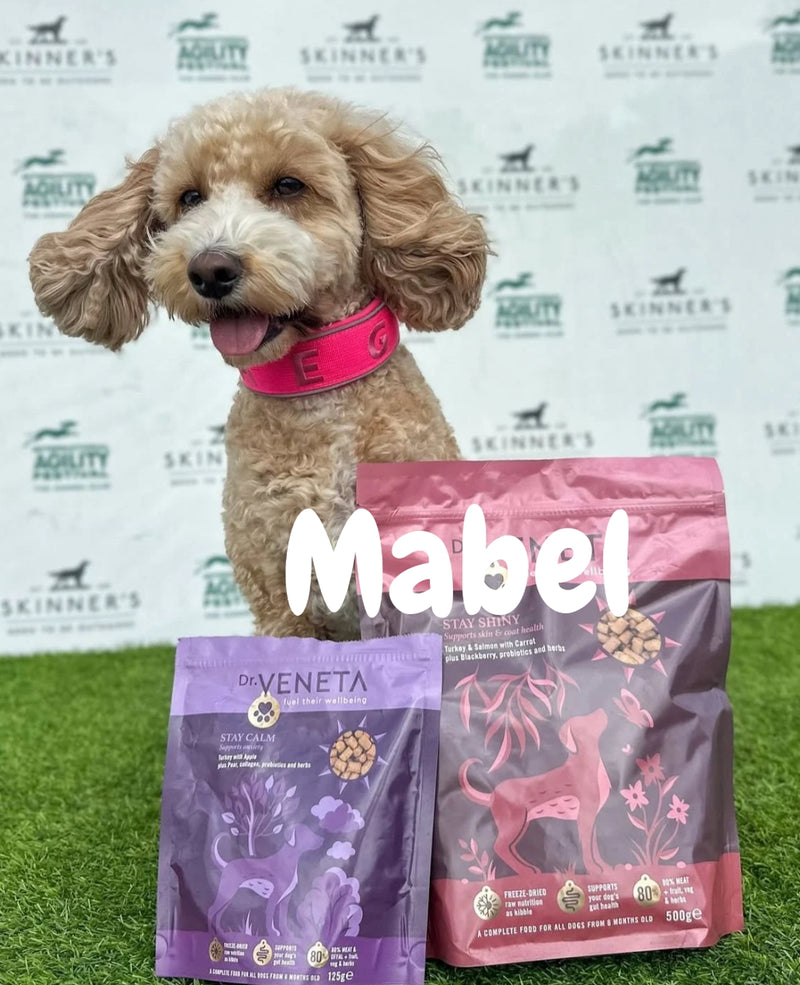 Mabel the dog posing with Dr Veneta dog food packs at an ambassador event backdrop