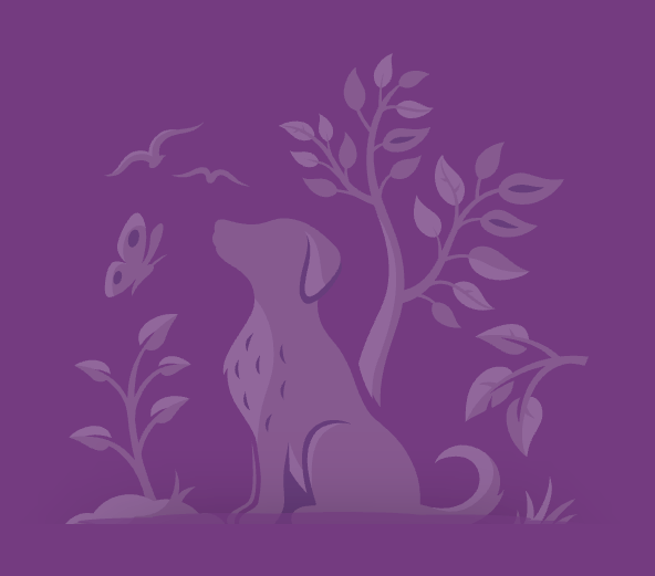 Dog and butterfly Illustration