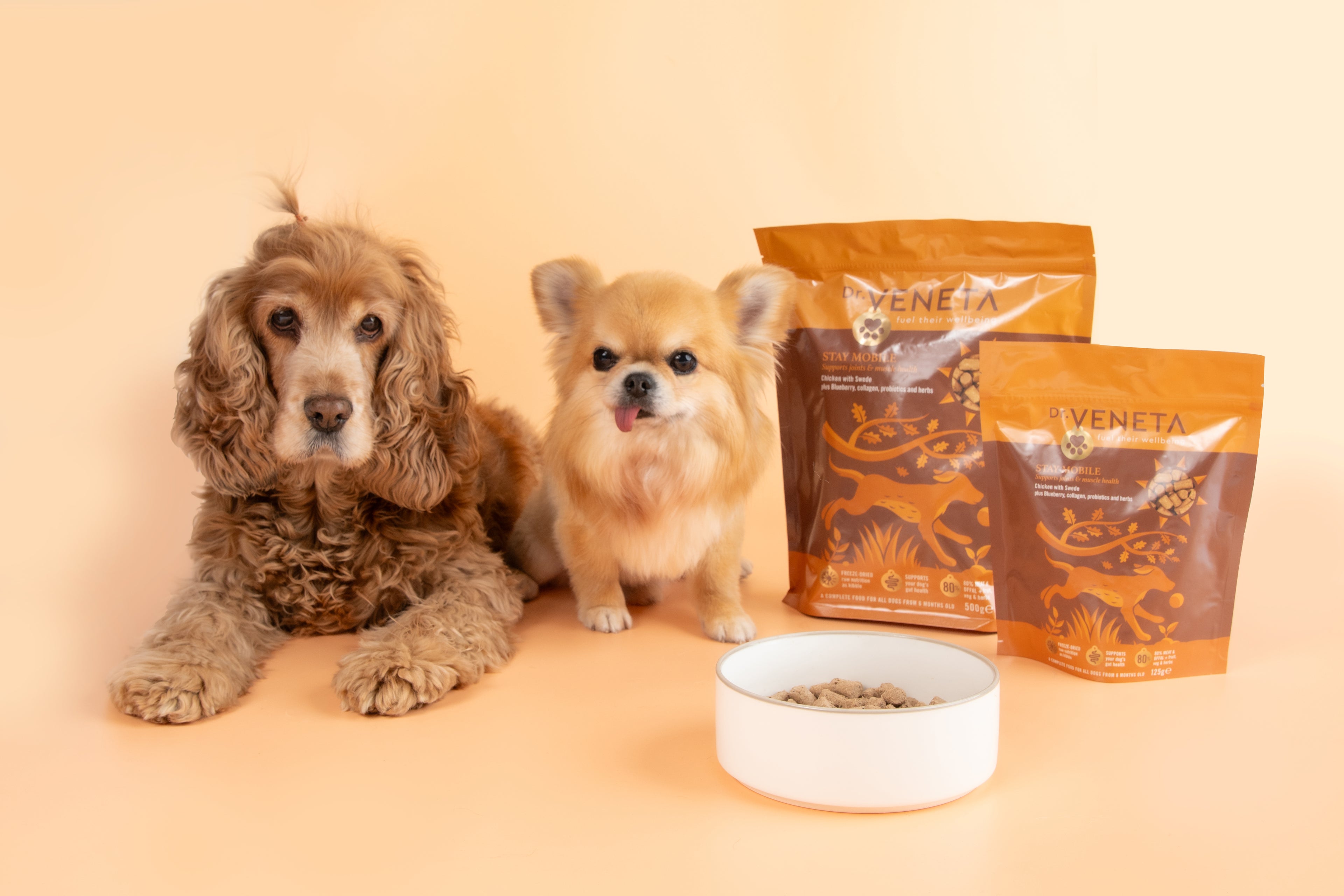 Two dogs with Dr. Veneta Stay Mobile dog food packs and a bowl of food
