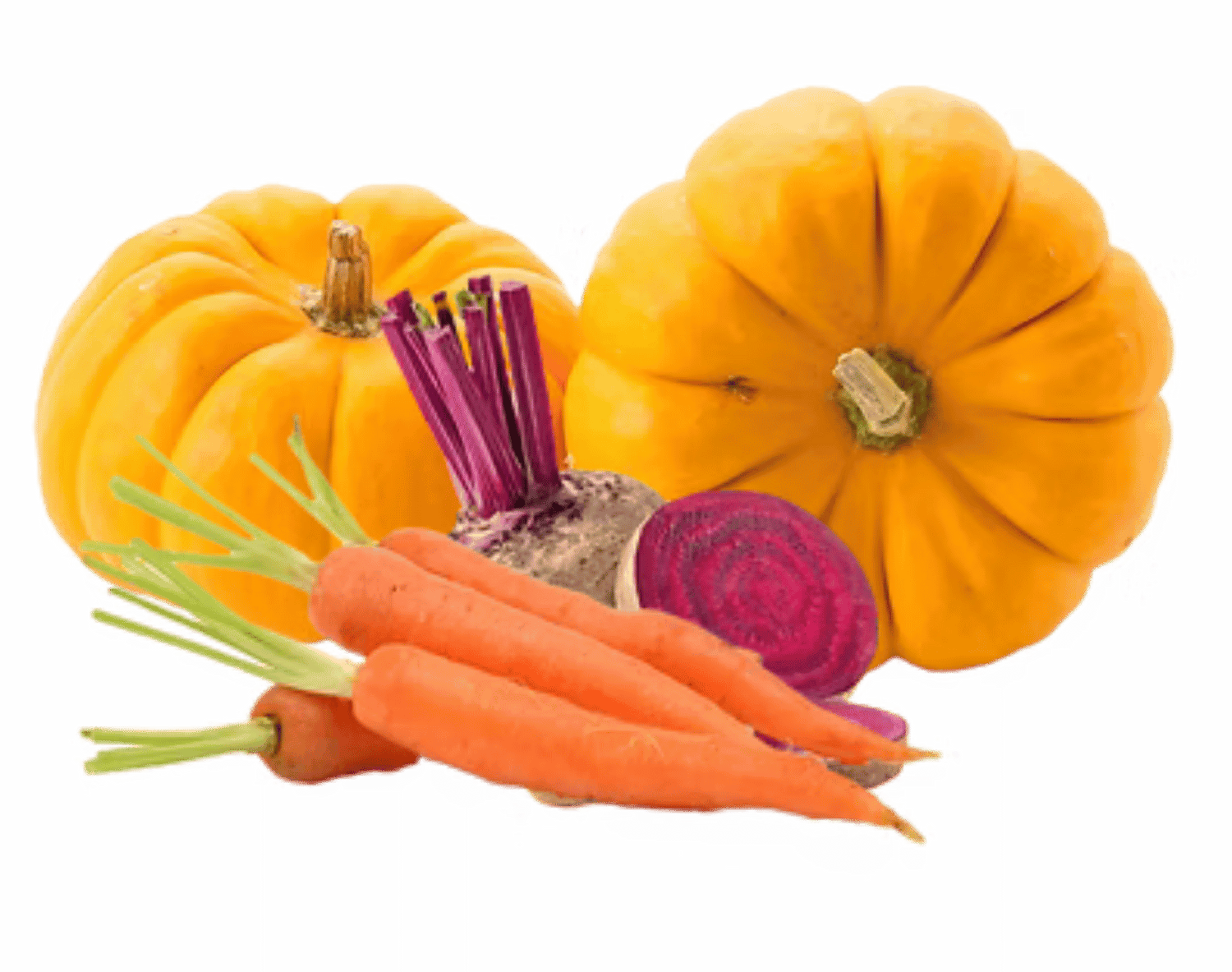 Natural vegetables including pumpkin, carrots and beetroot