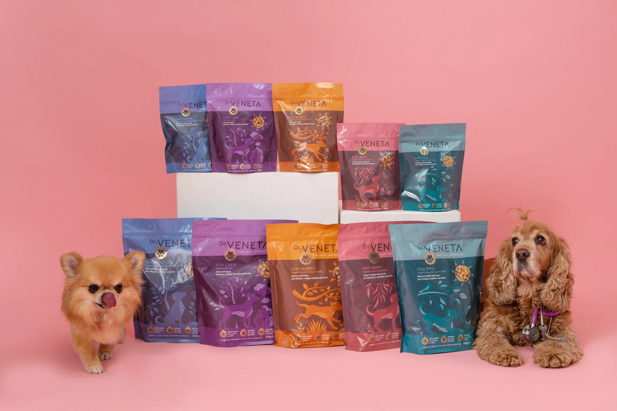 Dr Veneta natural dog food and wellness range with ambassador dogs