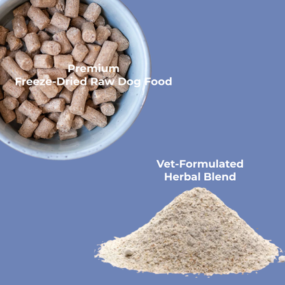 Bowl of premium freeze-dried raw dog food with a pile of vet-formulated herbal blend on a blue background.