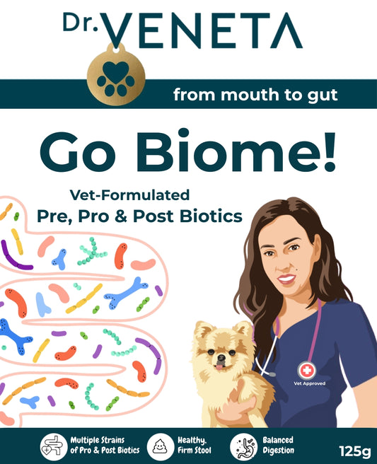 Dr Veneta Go Biome prebiotic, probiotic and postbiotic blend for healthy dog digestion