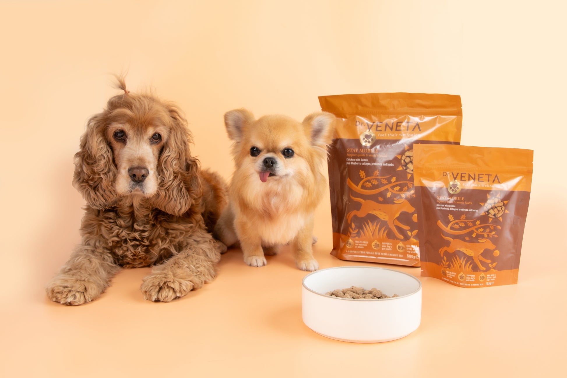 Two dogs with Veneta pet food packages and a bowl of food on a beige background