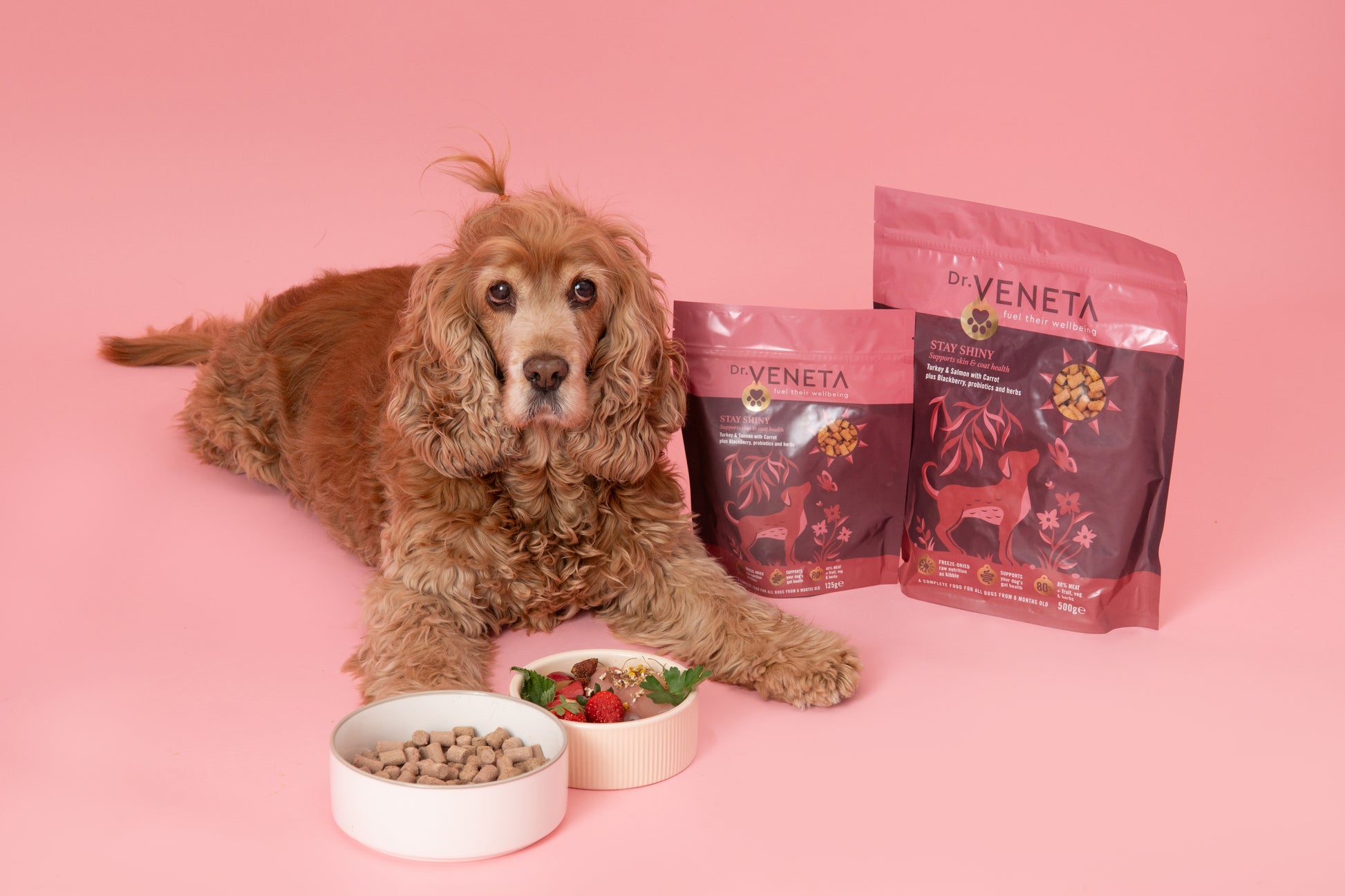 Dog with Dr. Veneta pet food packages and bowls on a pink background