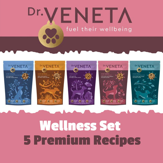 Dr Veneta Wellness Set with five premium dog food recipes