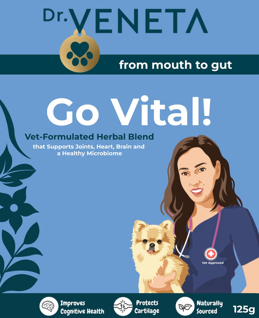 Dr Veneta Go Vital herbal blend for joints, heart, brain and healthy microbiome support