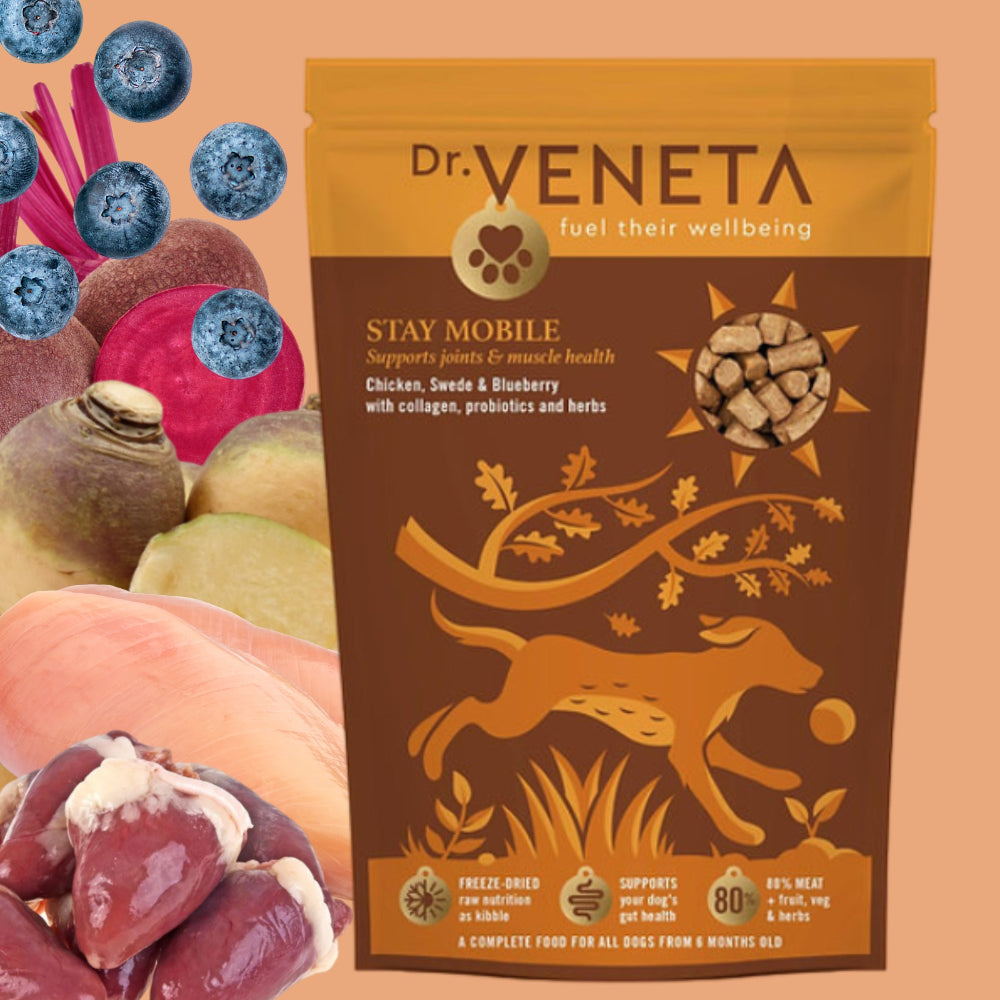 Dr Veneta Stay Mobile chicken, swede and blueberry dog food with natural ingredients