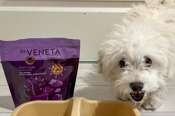 A small fluffy white dog stands beside a beige dual-compartment food bowl with kibble, next to a purple bag of Dr. Veneta Stay Calm pet supplements, against a white paneled wall.
