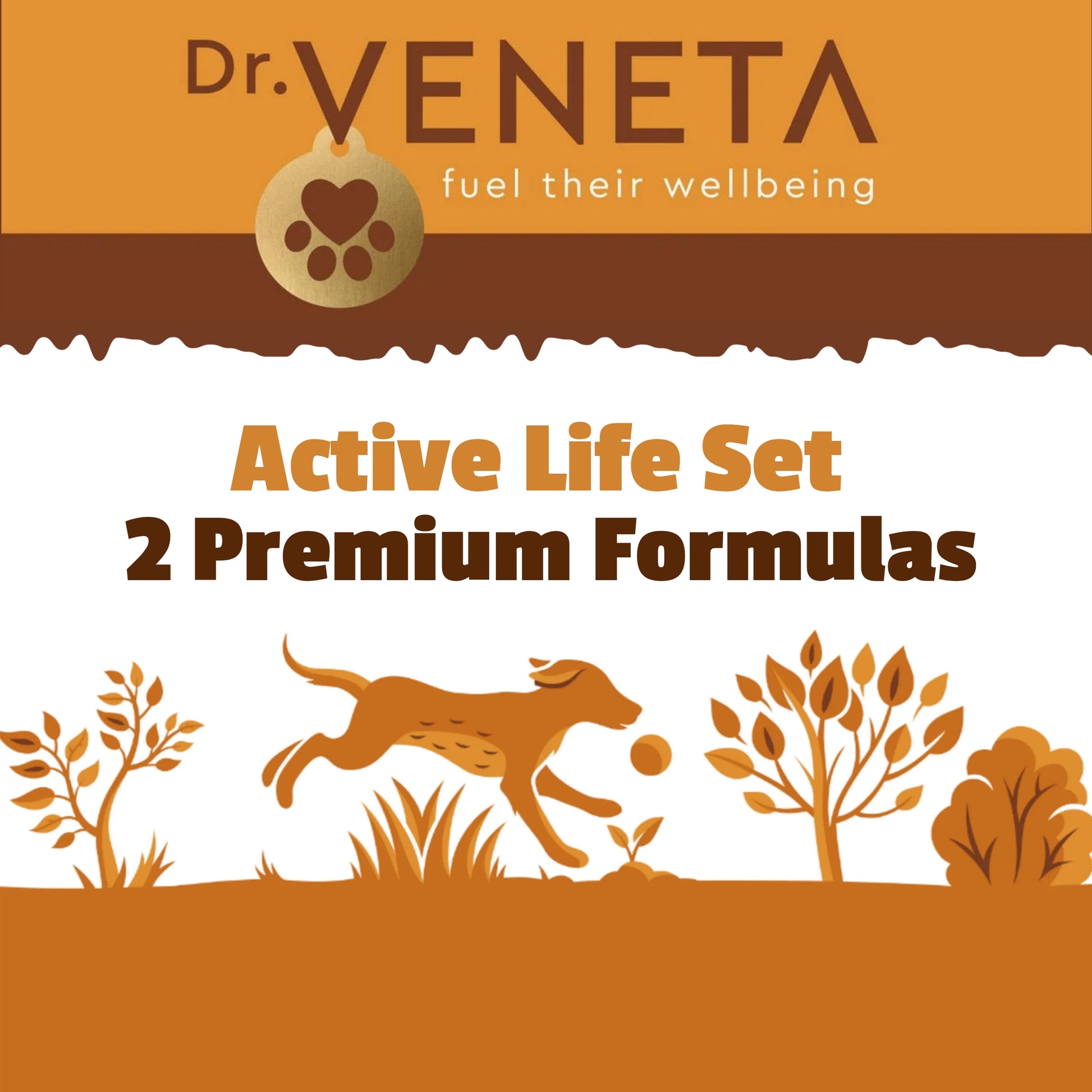 Dr. Veneta pet food packaging with a dog and trees illustration on an orange and white background