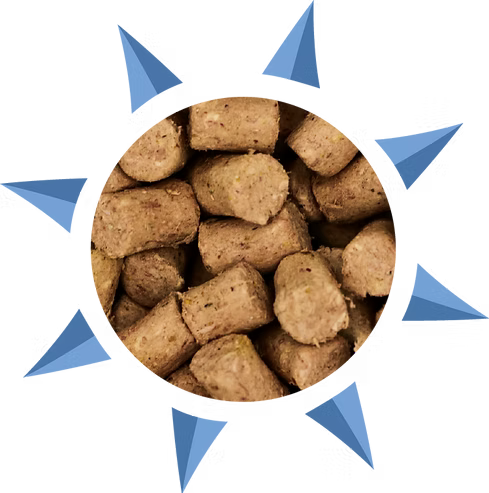 Freeze-dried raw dog food pieces developed for canine nutrition
