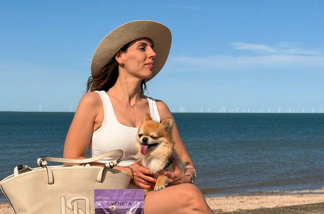 A woman sitting on a concrete beach wall holding a small dog, with a large beige tote bag and a purple pouch of dog treats beside her. The background shows the blue ocean and sky.
