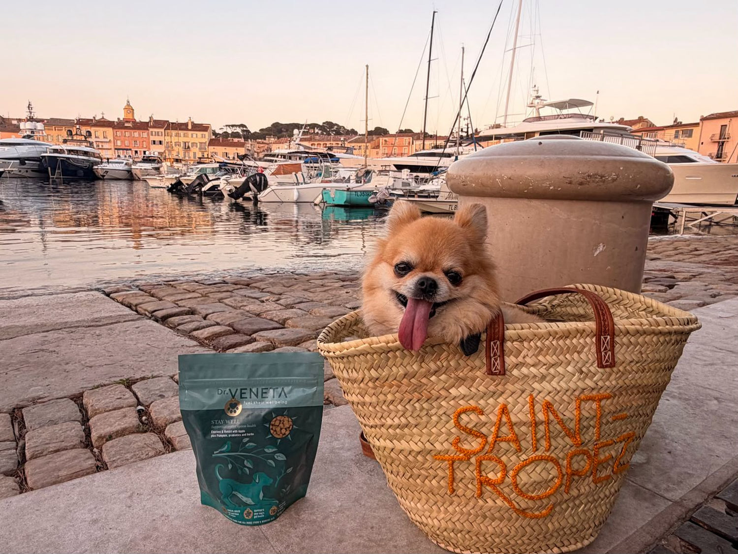 A small fluffy tan dog sits inside a woven straw tote bag with 'SAINT TROPE' written in orange on the front, with a green Veneta pet food pouch beside it. 