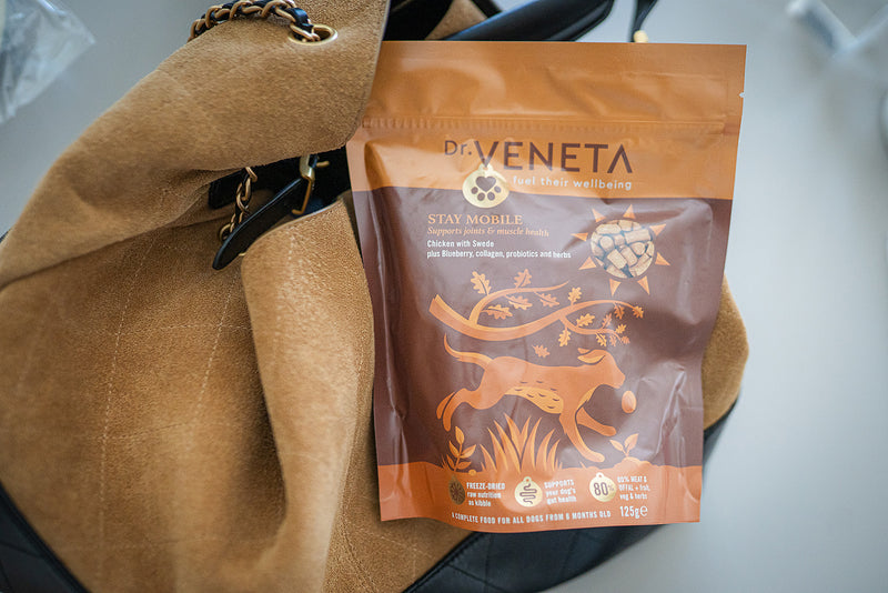A stand-up pouch of Dr. Veneta Stay Mobile dog supplement placed on a tan suede handbag against a light gray background.