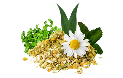 Natural herbs and botanical ingredients for pet wellness