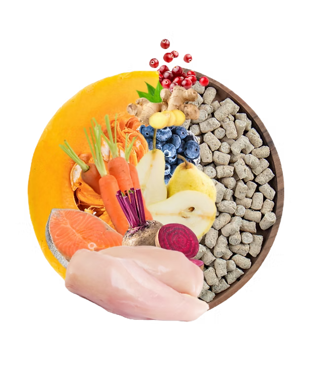 Freeze-dried raw dog food with chicken, salmon, vegetables and antioxidant-rich fruits 